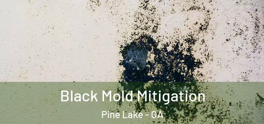 Black Mold Mitigation Pine Lake - GA