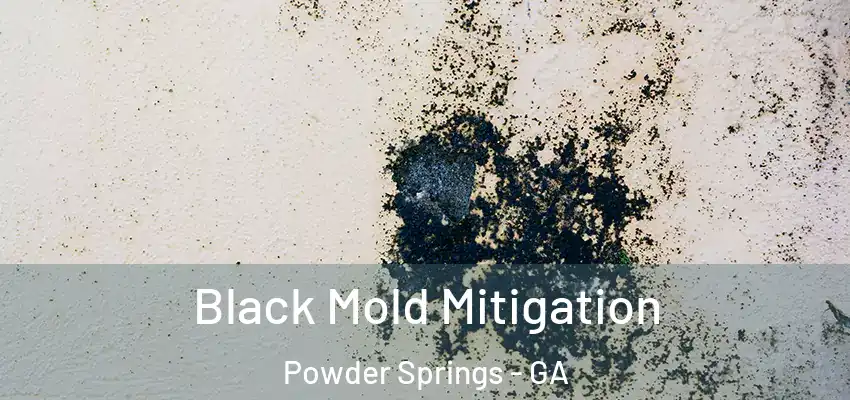 Black Mold Mitigation Powder Springs - GA