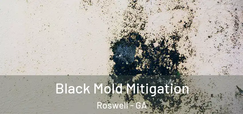 Black Mold Mitigation Roswell - GA