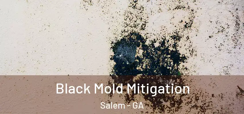 Black Mold Mitigation Salem - GA