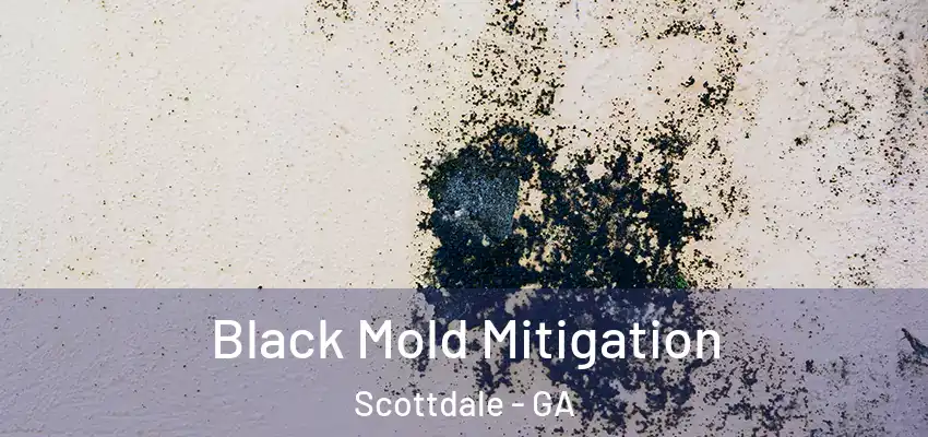 Black Mold Mitigation Scottdale - GA