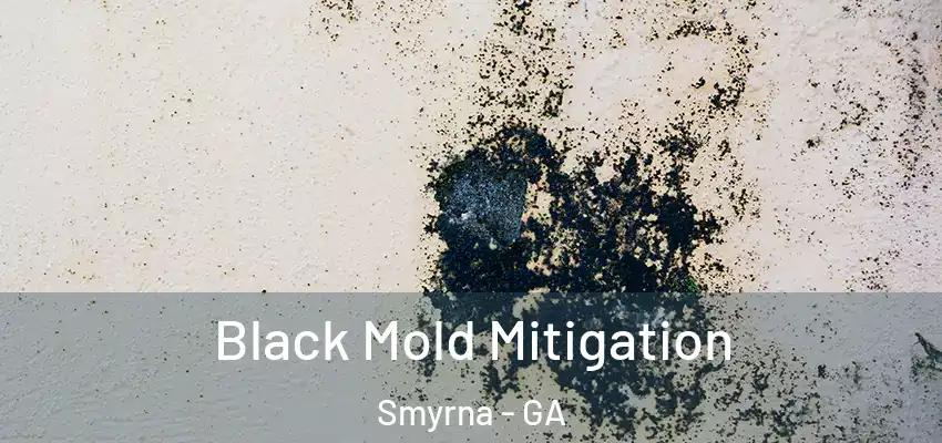 Black Mold Mitigation Smyrna - GA