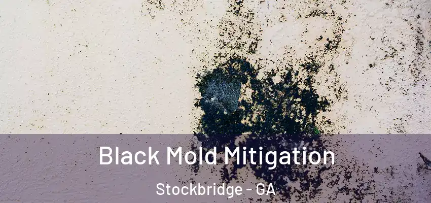 Black Mold Mitigation Stockbridge - GA