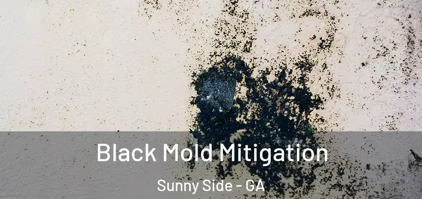 Black Mold Mitigation Sunny Side - GA