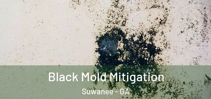 Black Mold Mitigation Suwanee - GA