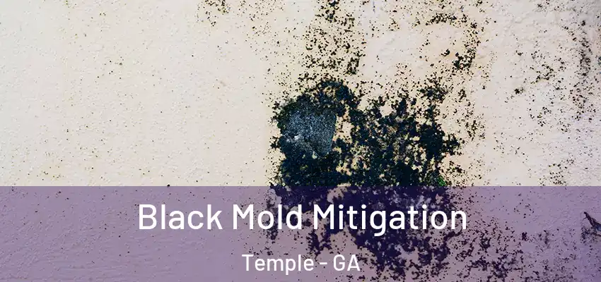Black Mold Mitigation Temple - GA