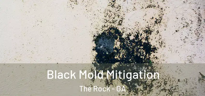 Black Mold Mitigation The Rock - GA