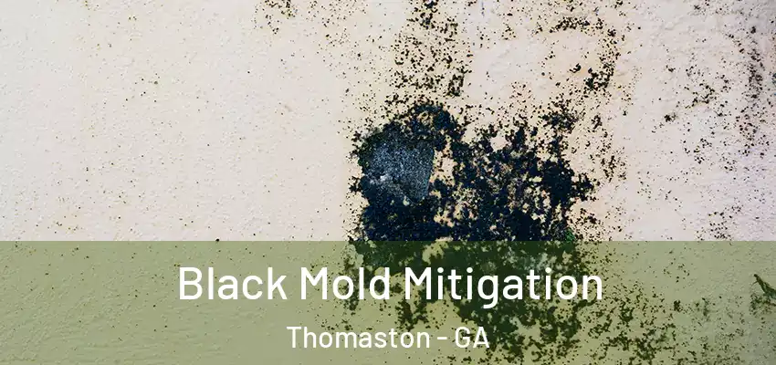 Black Mold Mitigation Thomaston - GA