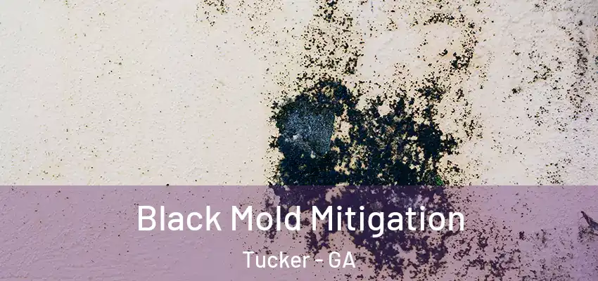 Black Mold Mitigation Tucker - GA
