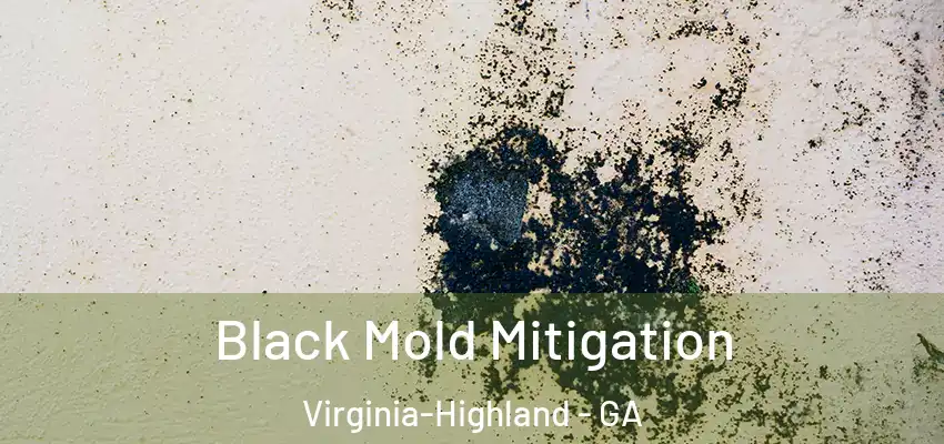 Black Mold Mitigation Virginia-Highland - GA