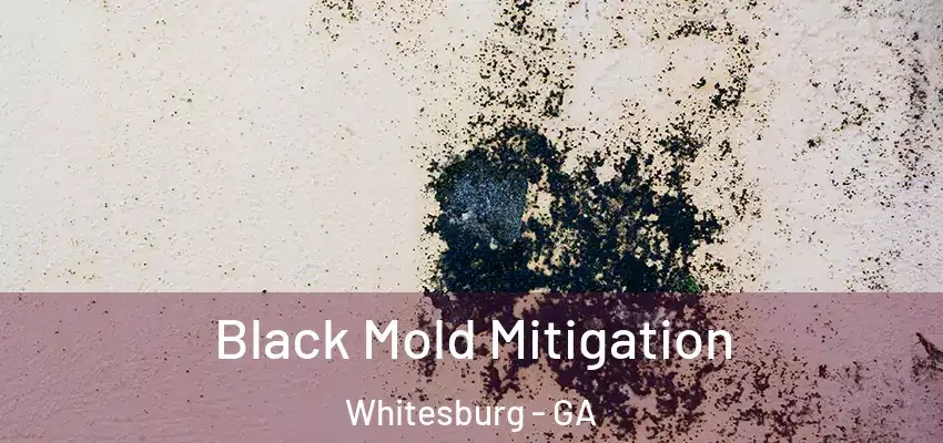Black Mold Mitigation Whitesburg - GA