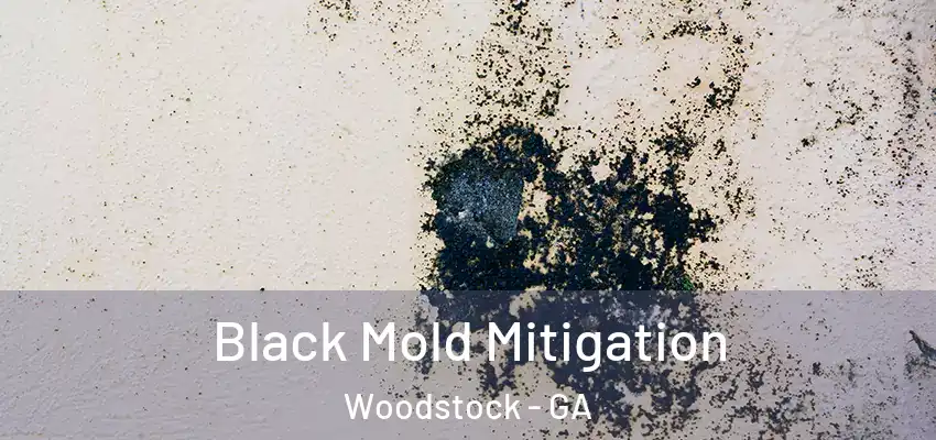 Black Mold Mitigation Woodstock - GA