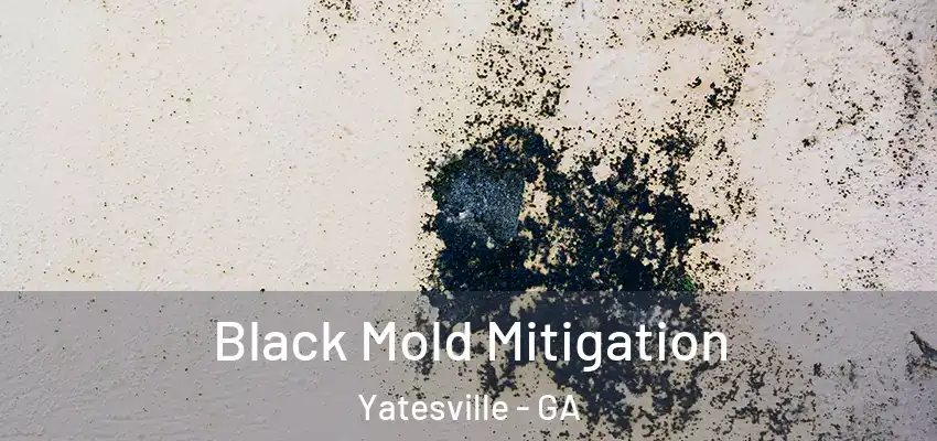 Black Mold Mitigation Yatesville - GA