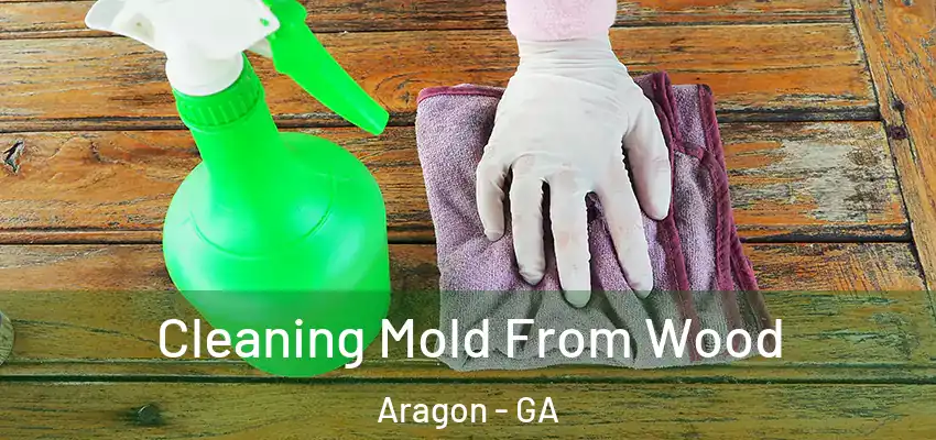Cleaning Mold From Wood Aragon - GA