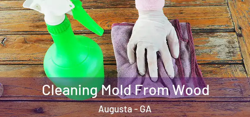 Cleaning Mold From Wood Augusta - GA
