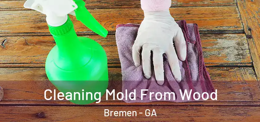 Cleaning Mold From Wood Bremen - GA