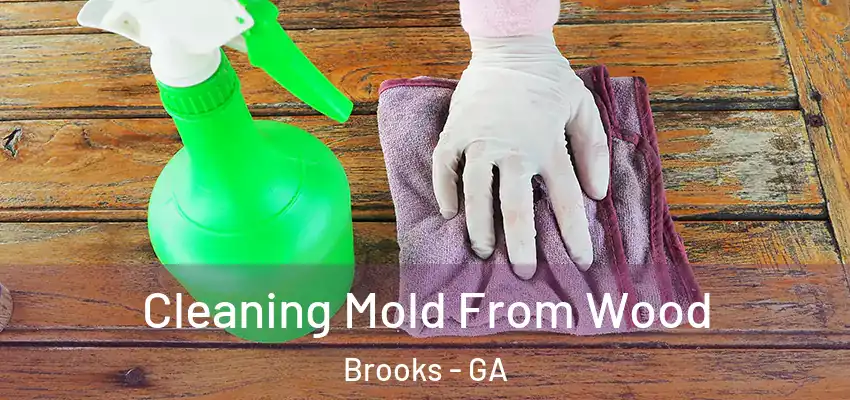  Cleaning Mold From Wood Brooks - GA