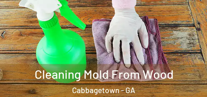 Cleaning Mold From Wood Cabbagetown - GA