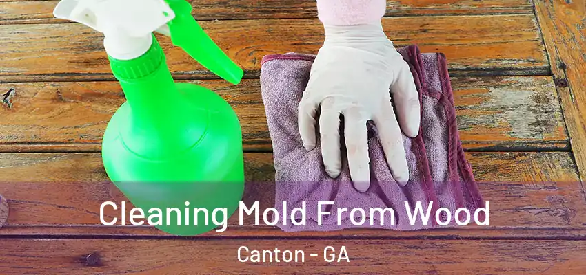 Cleaning Mold From Wood Canton - GA