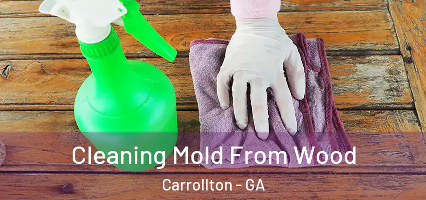  Cleaning Mold From Wood Carrollton - GA