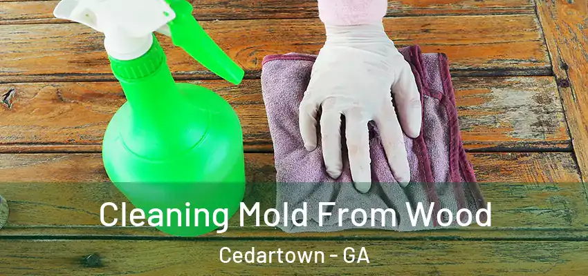 Cleaning Mold From Wood Cedartown - GA