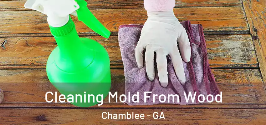 Cleaning Mold From Wood Chamblee - GA