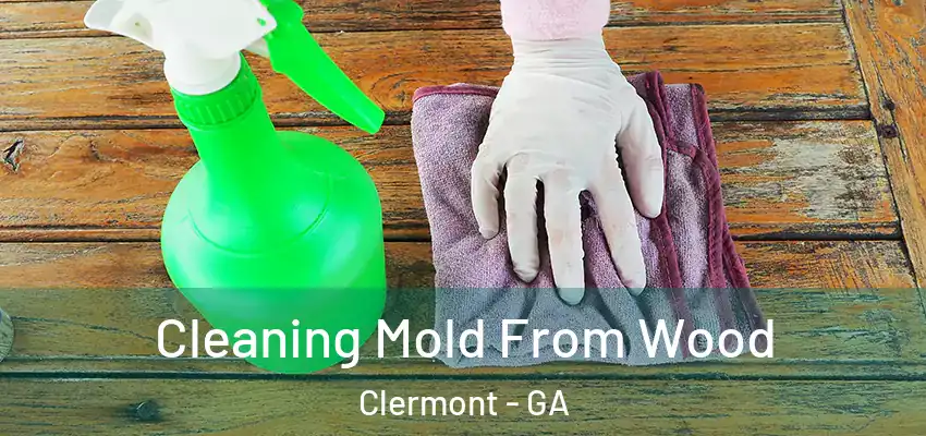Cleaning Mold From Wood Clermont - GA