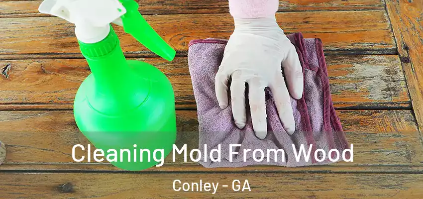 Cleaning Mold From Wood Conley - GA