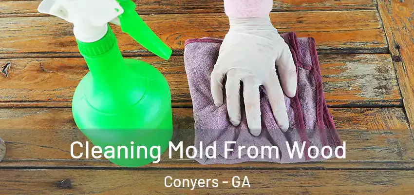  Cleaning Mold From Wood Conyers - GA