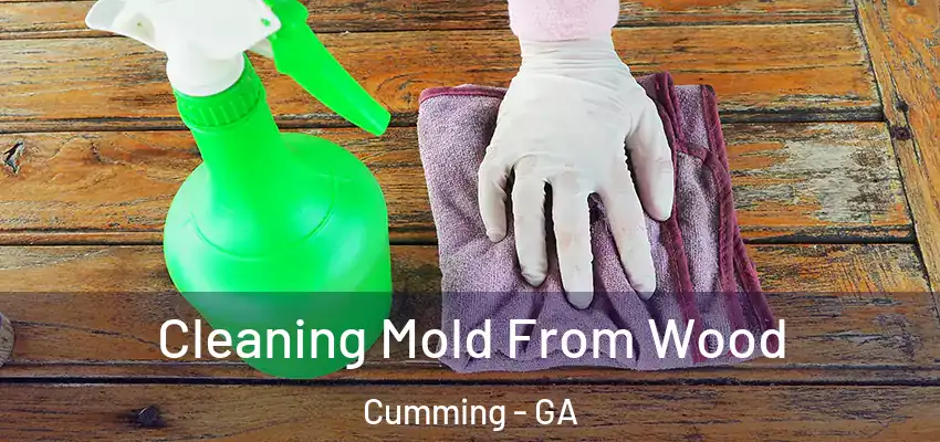 Cleaning Mold From Wood Cumming - GA