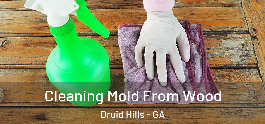  Cleaning Mold From Wood Druid Hills - GA