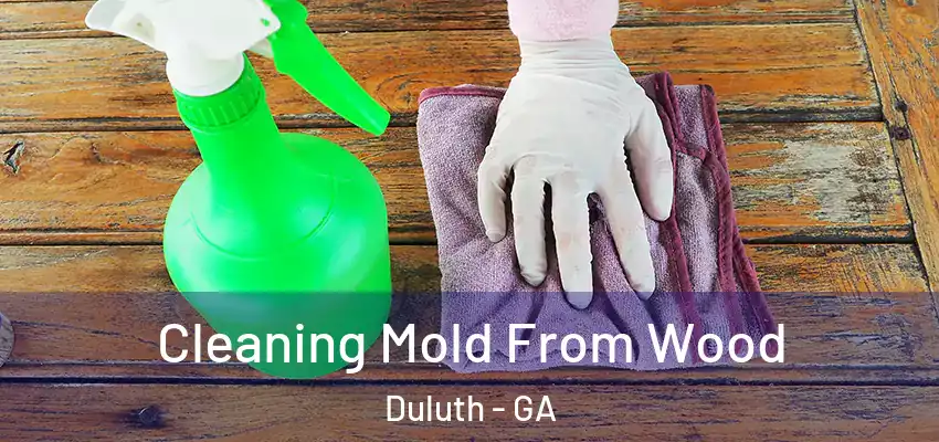Cleaning Mold From Wood Duluth - GA