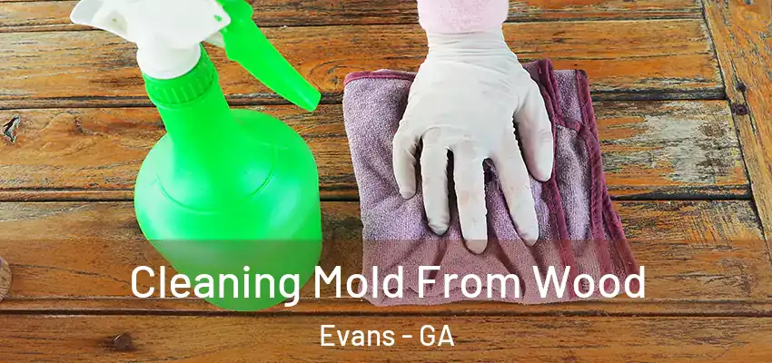  Cleaning Mold From Wood Evans - GA