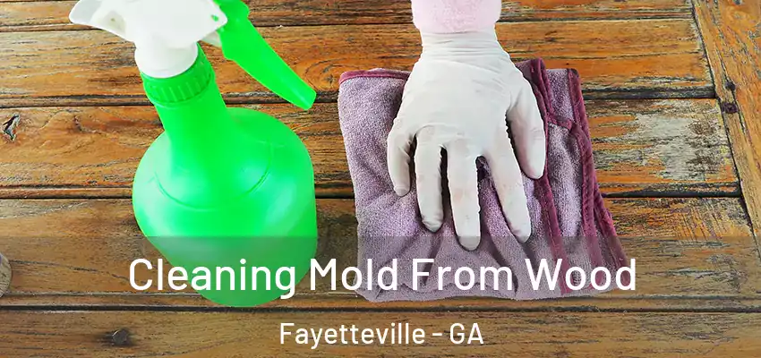 Cleaning Mold From Wood Fayetteville - GA