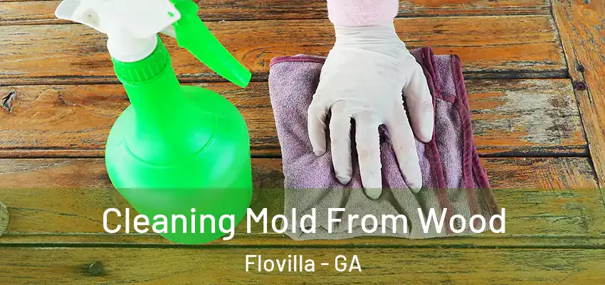 Cleaning Mold From Wood Flovilla - GA
