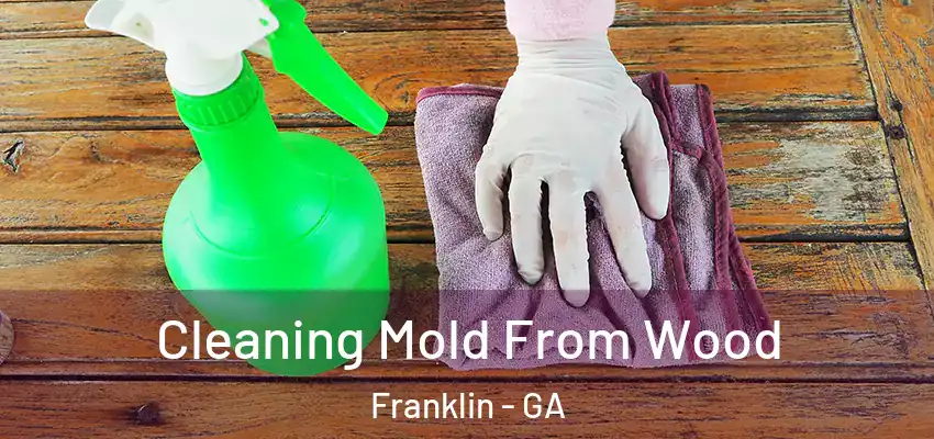 Cleaning Mold From Wood Franklin - GA