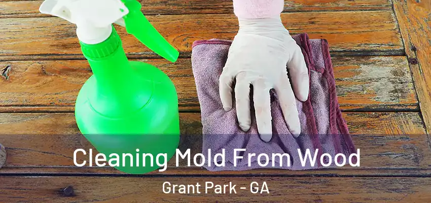 Cleaning Mold From Wood Grant Park - GA