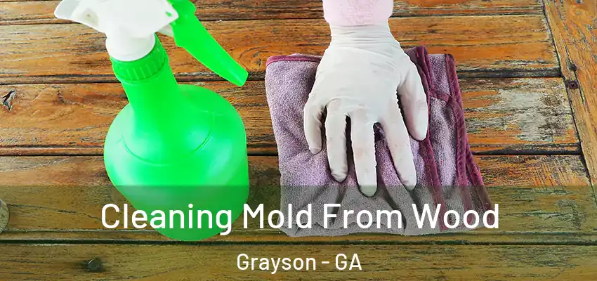 Cleaning Mold From Wood Grayson - GA