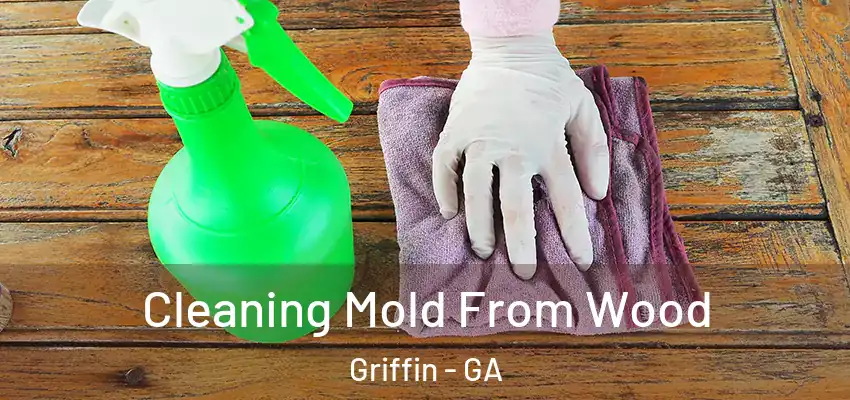 Cleaning Mold From Wood Griffin - GA
