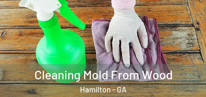 Cleaning Mold From Wood Hamilton - GA