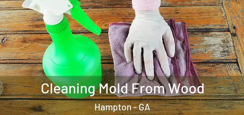 Cleaning Mold From Wood Hampton - GA
