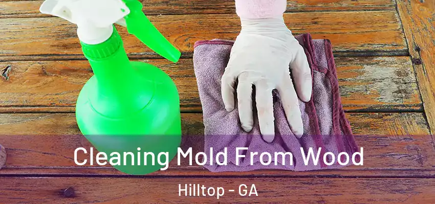 Cleaning Mold From Wood Hilltop - GA