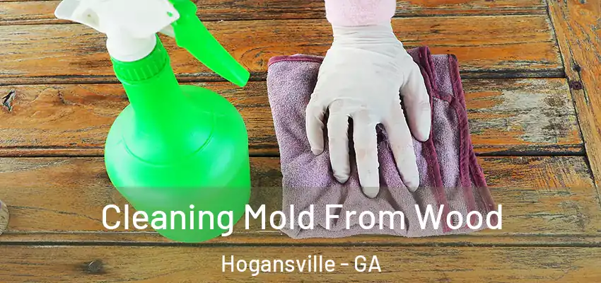 Cleaning Mold From Wood Hogansville - GA