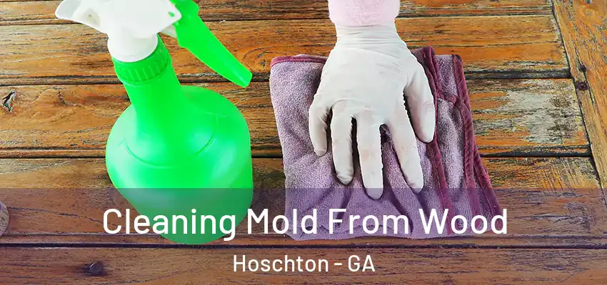 Cleaning Mold From Wood Hoschton - GA