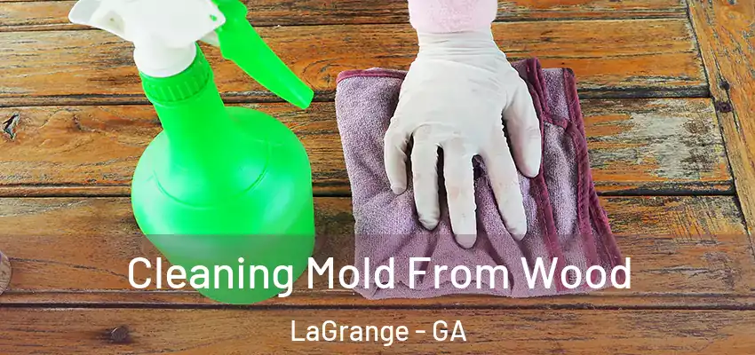 Cleaning Mold From Wood LaGrange - GA