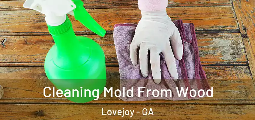 Cleaning Mold From Wood Lovejoy - GA