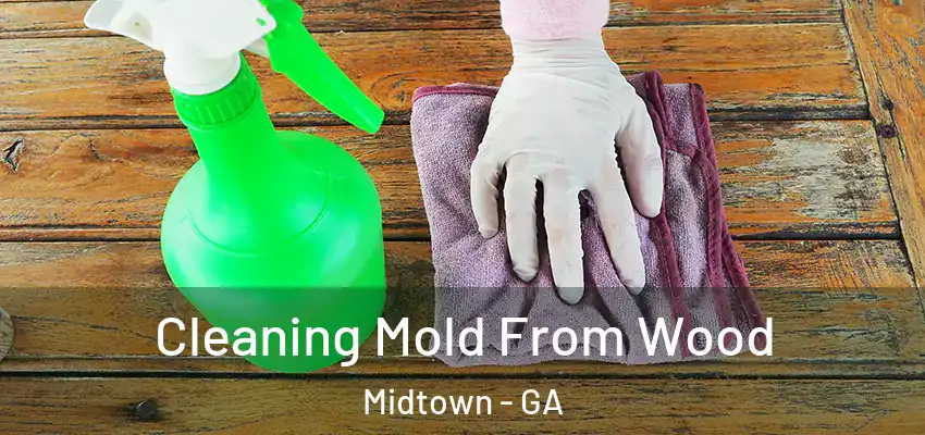 Cleaning Mold From Wood Midtown - GA