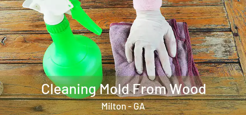 Cleaning Mold From Wood Milton - GA