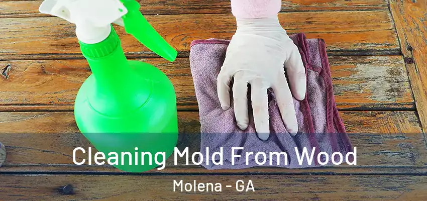 Cleaning Mold From Wood Molena - GA