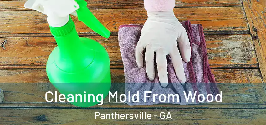 Cleaning Mold From Wood Panthersville - GA